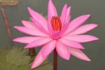 ภาพโดย(T.suwan)